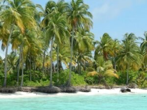 Andaman tour packages